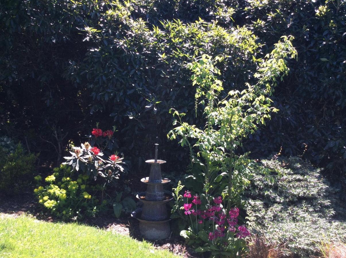 Hadley Close Dunedin Buitenkant foto