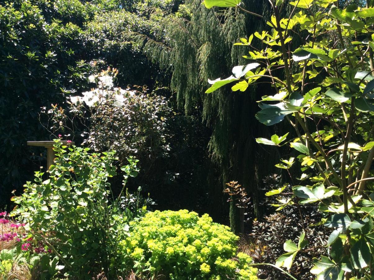 Hadley Close Dunedin Buitenkant foto