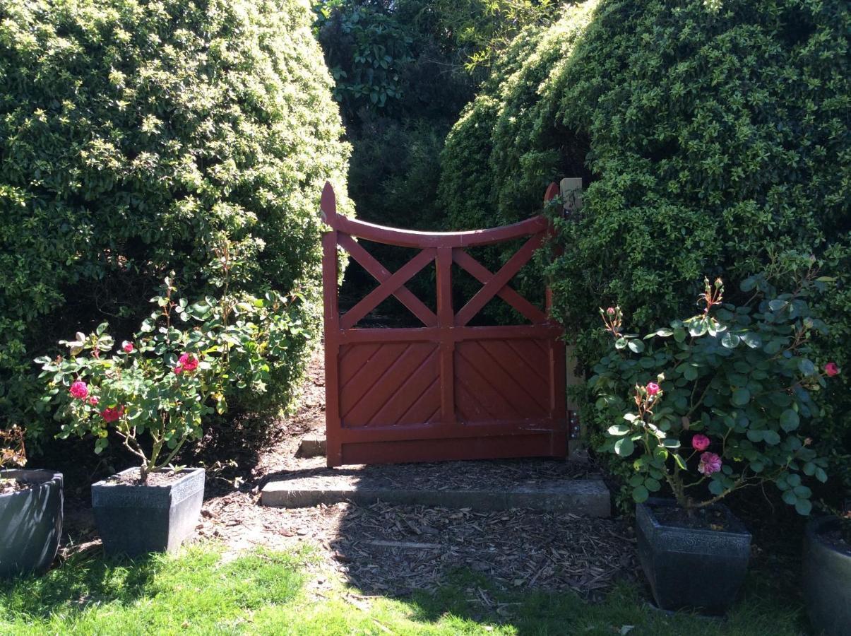 Hadley Close Dunedin Buitenkant foto